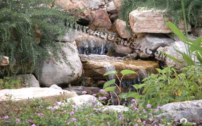 cascata laghetto da giardino
