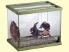 Terrario vetro/legno 50x35x60h cm con serratura